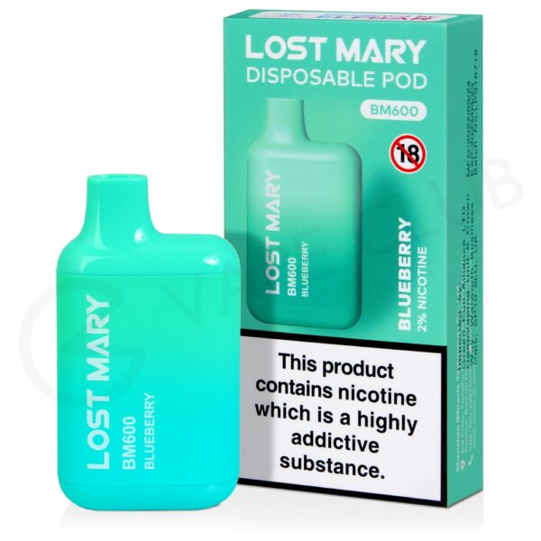 Lost Mary Bluberry